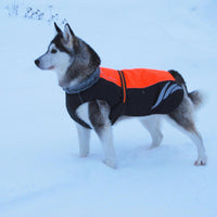 HKM-4549821 Winter Warm Pellet Down Jacket for Dogs – Waterproof and Flame-Retardant Vest in Black, Green, and Orange