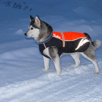 HKM-4549821 Winter Warm Pellet Down Jacket for Dogs – Waterproof and Flame-Retardant Vest in Black, Green, and Orange