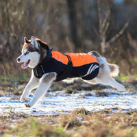 HKM-4549821 Winter Warm Pellet Down Jacket for Dogs – Waterproof and Flame-Retardant Vest in Black, Green, and Orange