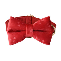 HKM-4551997 Red Heart Velvet Dog Bowknot Collar and Leash Set