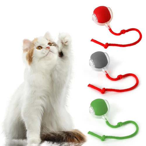 HKM-455763 Interactive Electric Cat Toy Ball with Speedy Tail Movement for Engaging Playtime