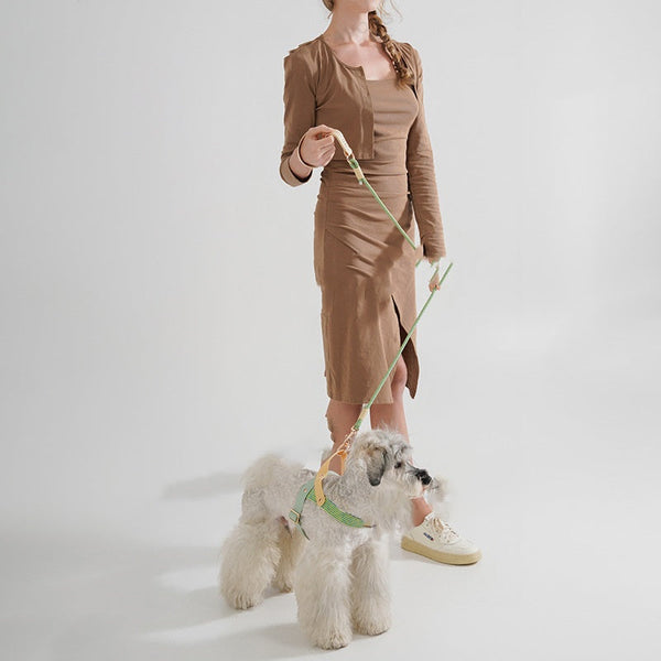 HKM-4563517 Medium-Sized Dog Safety Buckle Rope in Wizard of Oz Green and Shadow White, 120cm Length