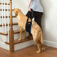 HKM-4568765 Supportive Dog Lifting Sling for Mobility Aid - Comfortable Hip and Hind Leg Assistance for Aging Dogs