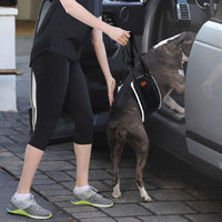 HKM-4568765 Supportive Dog Lifting Sling for Mobility Aid - Comfortable Hip and Hind Leg Assistance for Aging Dogs