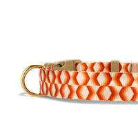 HKM-4571069 Durable Polyester Pet Rope with Collar and Packaging Bag ¨C Diamond Feel Design