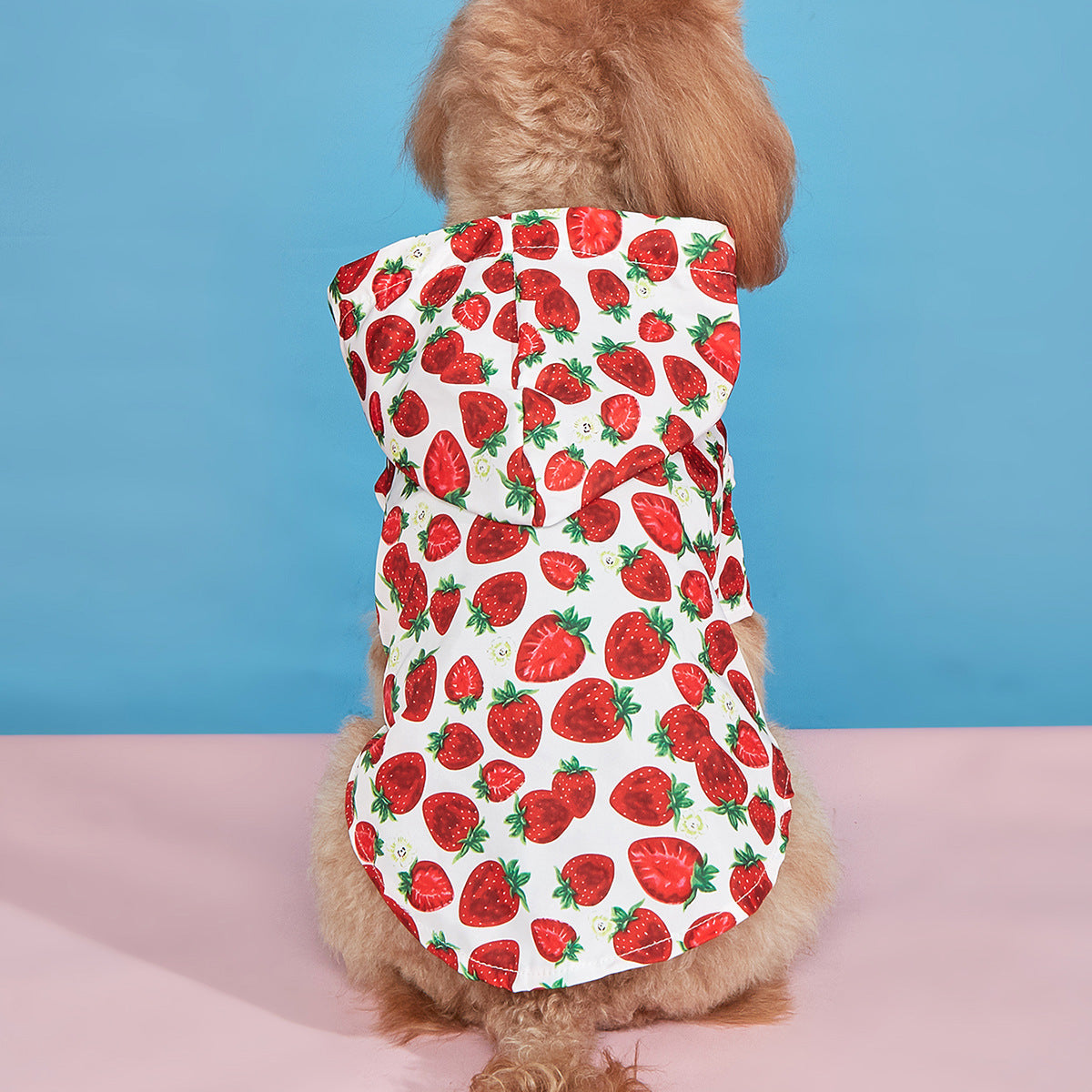 HKM-4571837 Waterproof Strawberry Print Dog Raincoat for Spring and Summer in Multiple Sizes