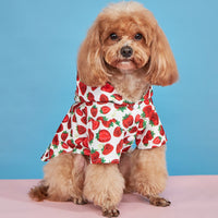 HKM-4571837 Waterproof Strawberry Print Dog Raincoat for Spring and Summer in Multiple Sizes