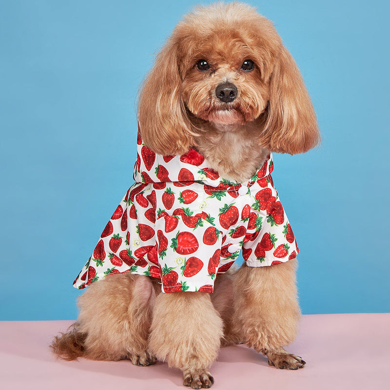 HKM-4571837 Waterproof Strawberry Print Dog Raincoat for Spring and Summer in Multiple Sizes