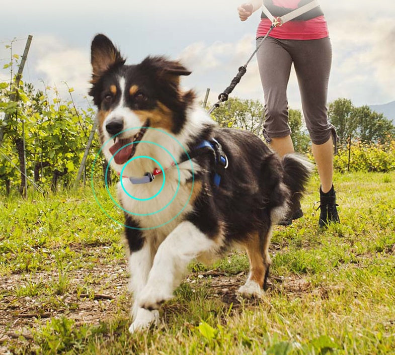HKM-4573245 Pet GPS Tracking Collar with LED Light and 500 mAh Battery