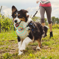 HKM-4573245 Pet GPS Tracking Collar with LED Light and 500 mAh Battery