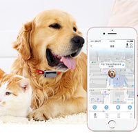 HKM-4573245 Pet GPS Tracking Collar with LED Light and 500 mAh Battery