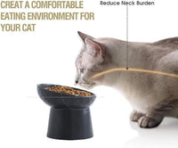 HKM-4574525 Elevated Ceramic Cat Bowls Set with Tilted Design for Comfortable Eating and Anti-Slip Stability