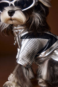 HKM-4581565 Handsome Distressed Silver Leather Coat for Teddy Schnauzer Bichon - Available in Multiple Sizes