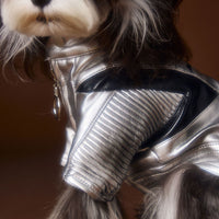 HKM-4581565 Handsome Distressed Silver Leather Coat for Teddy Schnauzer Bichon - Available in Multiple Sizes