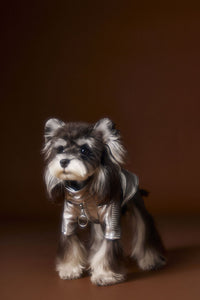 HKM-4581565 Handsome Distressed Silver Leather Coat for Teddy Schnauzer Bichon - Available in Multiple Sizes