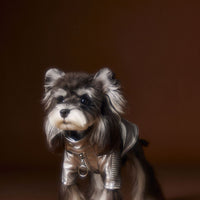 HKM-4581565 Handsome Distressed Silver Leather Coat for Teddy Schnauzer Bichon - Available in Multiple Sizes