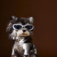 HKM-4581565 Handsome Distressed Silver Leather Coat for Teddy Schnauzer Bichon - Available in Multiple Sizes