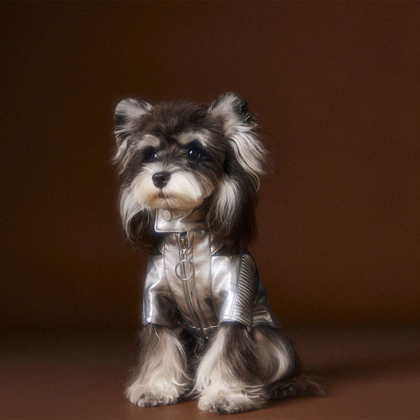 HKM-4581565 Handsome Distressed Silver Leather Coat for Teddy Schnauzer Bichon - Available in Multiple Sizes