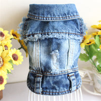 HKM-4582589 Casual Ripped Fringe Denim Vest for Pets, Available in Multiple Sizes