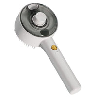 HKM-4584253 Multifunctional Cat Dog Steam Brush with USB Rechargeable Defur Comb for Long and Short Hair