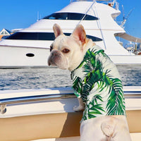 HKM-4585149 Corgi & Shiba Dog Shirt in Green Leaf, Banana, & Denim - Sizes S to 2XL