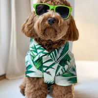 HKM-4585149 Corgi & Shiba Dog Shirt in Green Leaf, Banana, & Denim - Sizes S to 2XL
