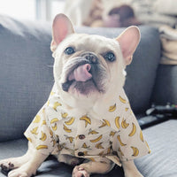 HKM-4585149 Corgi & Shiba Dog Shirt in Green Leaf, Banana, & Denim - Sizes S to 2XL