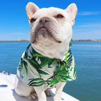 HKM-4585149 Corgi & Shiba Dog Shirt in Green Leaf, Banana, & Denim - Sizes S to 2XL