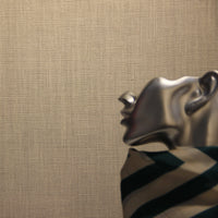 HKM-458579 Natural Woven Fireproof Wallpaper – Linen, Wood, Cork, Sisal, Silk, Grass Cloth Wallcovering