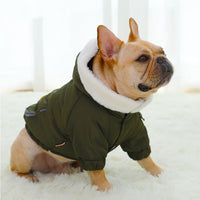 HKM-4587197 Winter Dog Padded Coat in Military Red and Green with Soft Silk-Like Cotton Lining