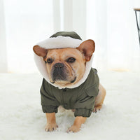 HKM-4587197 Winter Dog Padded Coat in Military Red and Green with Soft Silk-Like Cotton Lining