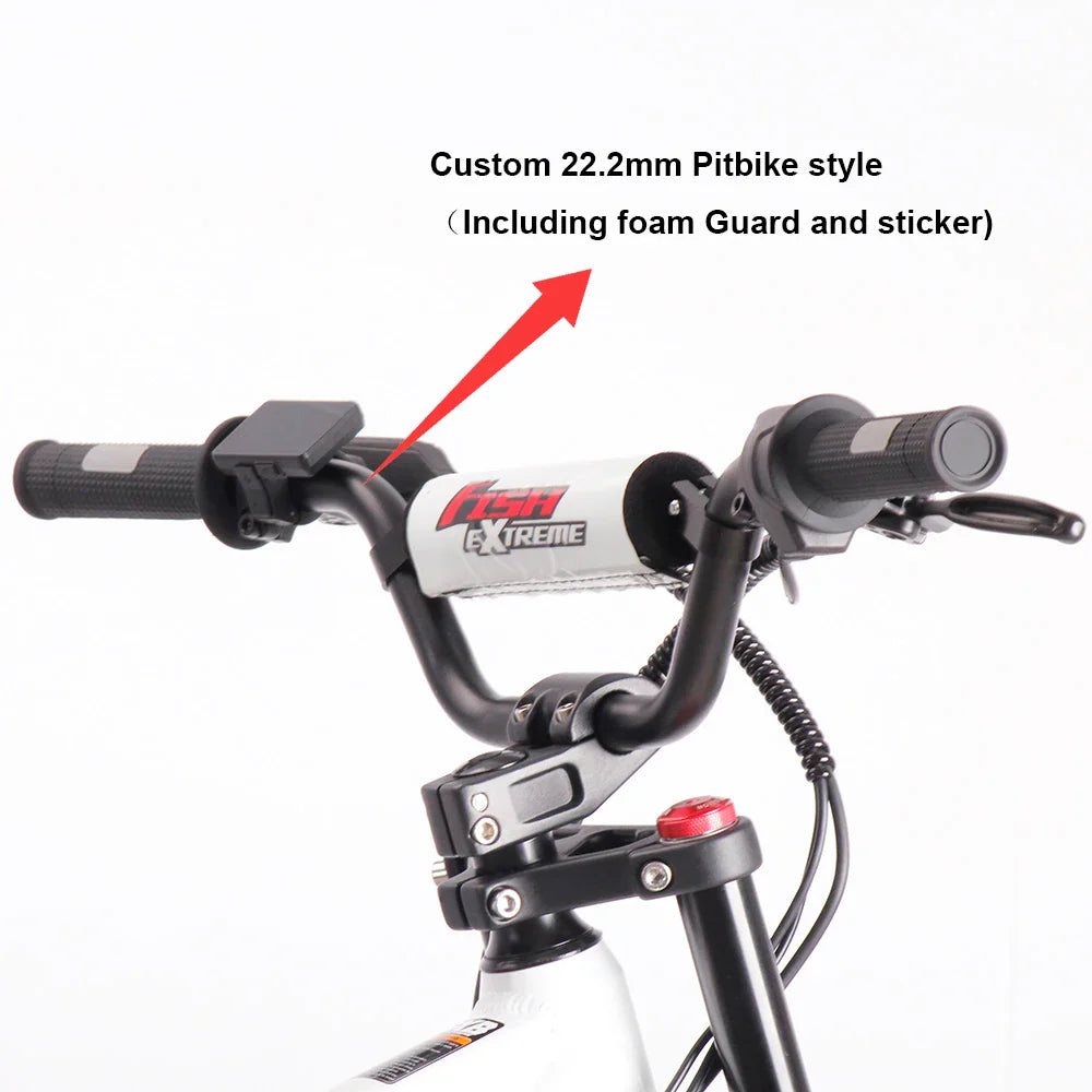 HKM-458963 20-Inch Kids Electric Balance Dirt Bike with 800W/1200W Motor and Hydraulic Brakes