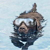 HKM-4590141 Waterproof and Windproof UV Protection Glasses for Dogs, Adjustable Fit for 28cm-48cm Head Circumference