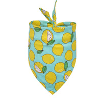 HKM-4595901 Fruit Pattern Cotton Triangle Scarf for Dogs and Cats - Small and Medium Sizes Available