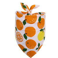 HKM-4595901 Fruit Pattern Cotton Triangle Scarf for Dogs and Cats - Small and Medium Sizes Available