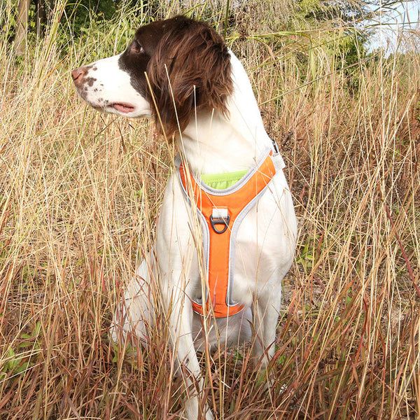 HKM-4597565 Adjustable Outdoor Trekking Chest and Back Strap for Big Dogs