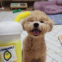 HKM-4599101 Plush Lemon Tea Cup Toy with Snack Pocket and BB Call for Pets
