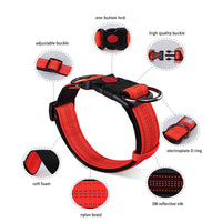 HKM-4600253 Collared Dog Leash Set for Small, Medium, and Large Dogs in Vibrant Colors