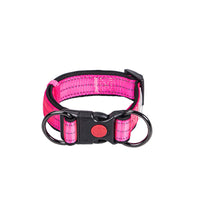 HKM-4600253 Collared Dog Leash Set for Small, Medium, and Large Dogs in Vibrant Colors
