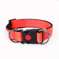 HKM-4600253 Collared Dog Leash Set for Small, Medium, and Large Dogs in Vibrant Colors