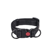 HKM-4600253 Collared Dog Leash Set for Small, Medium, and Large Dogs in Vibrant Colors