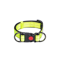 HKM-4600253 Collared Dog Leash Set for Small, Medium, and Large Dogs in Vibrant Colors