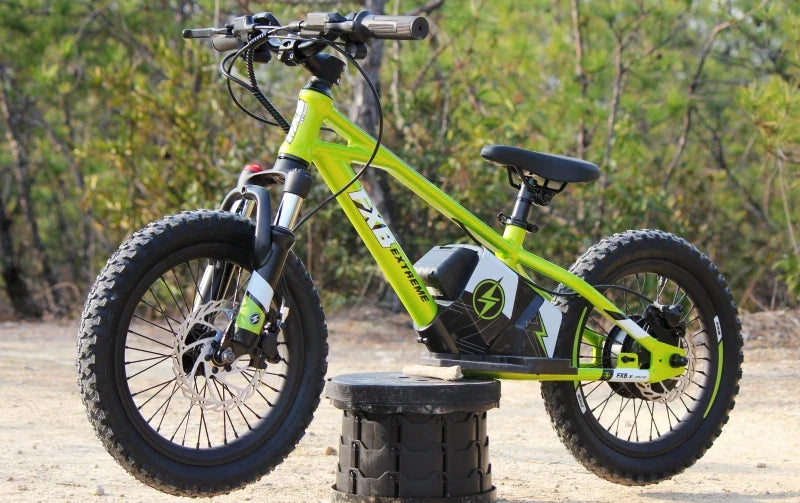 HKM-460115 16-Inch Electric Balance Bike for Kids with 2-Speed Gears and Disc Brake