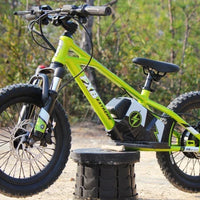 HKM-460115 16-Inch Electric Balance Bike for Kids with 2-Speed Gears and Disc Brake
