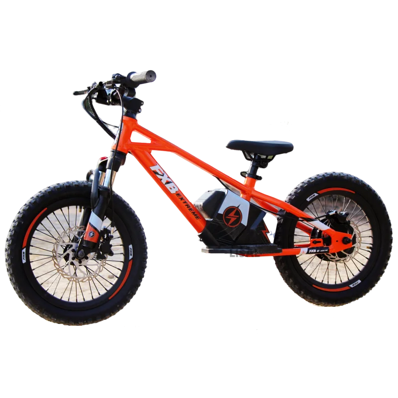 HKM-460115 16-Inch Electric Balance Bike for Kids with 2-Speed Gears and Disc Brake