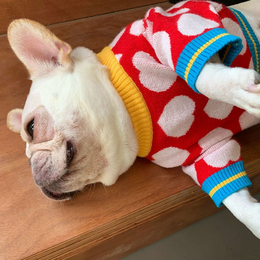 HKM-4602045 Cozy Wool Sweater for Dogs and Cats in Multiple Colors and Sizes