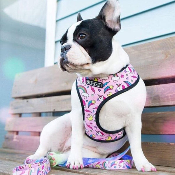 HKM-4603325 Adjustable Polyester Mesh Traction Rope with Chest Strap for Pets - S to XL Sizes Available