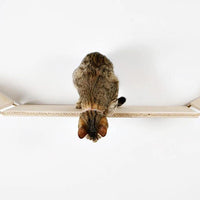 HKM-4608189 Wall-Mounted Wooden Cat Suspension Bridge Pet Stairs - 100x19CM Plywood Design