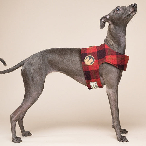 HKM-4609085 Small Dog Harness Vest with Leash - Multiple Colors and Sizes Available
