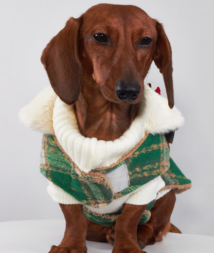 HKM-4614333 Christmas Plaid Dog Coats in Red and Green - European and American Style Pet Clothing